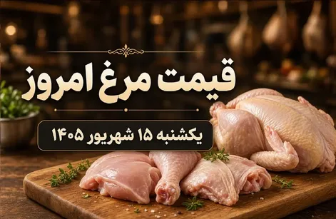 قیمت مرغ امروز یکشنبه 15 شهریور 1405؛ مرغ گران می‌شود؟