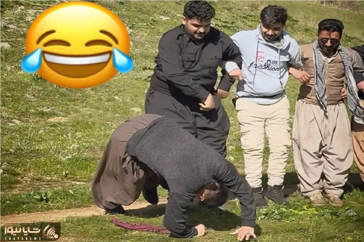 آواز شاد؛ رفقا فیل و فنجون دارن کوردی میرقصن یکی نیش ترمز میگیره بغلی رو ملق میده