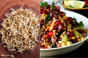 آموزش مرحله به مرحله تهیه جوانه گندم / یه ماده غذایی فوق العاده رو در منزل درست کن