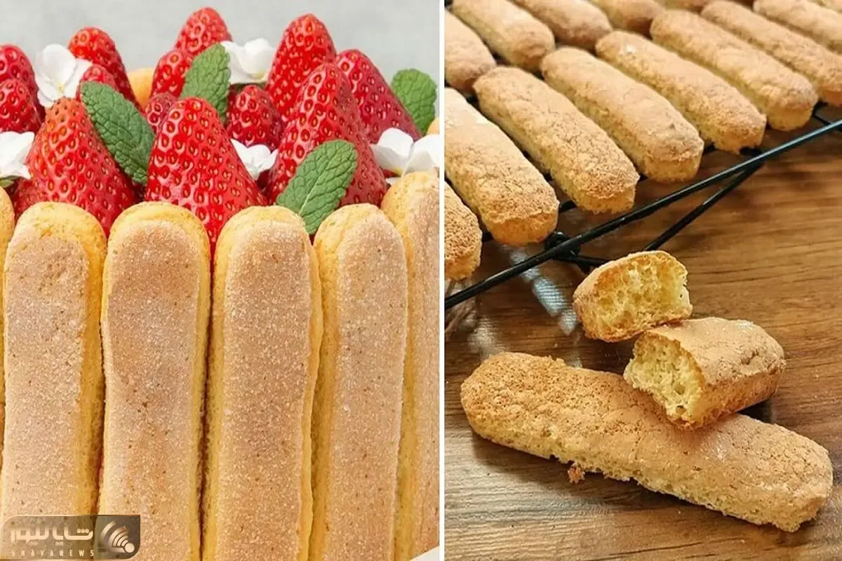 طرز تهیه بیسکوئیت لیدی فینگر / دستور پخت راحت و اندازه ها با پیمانه