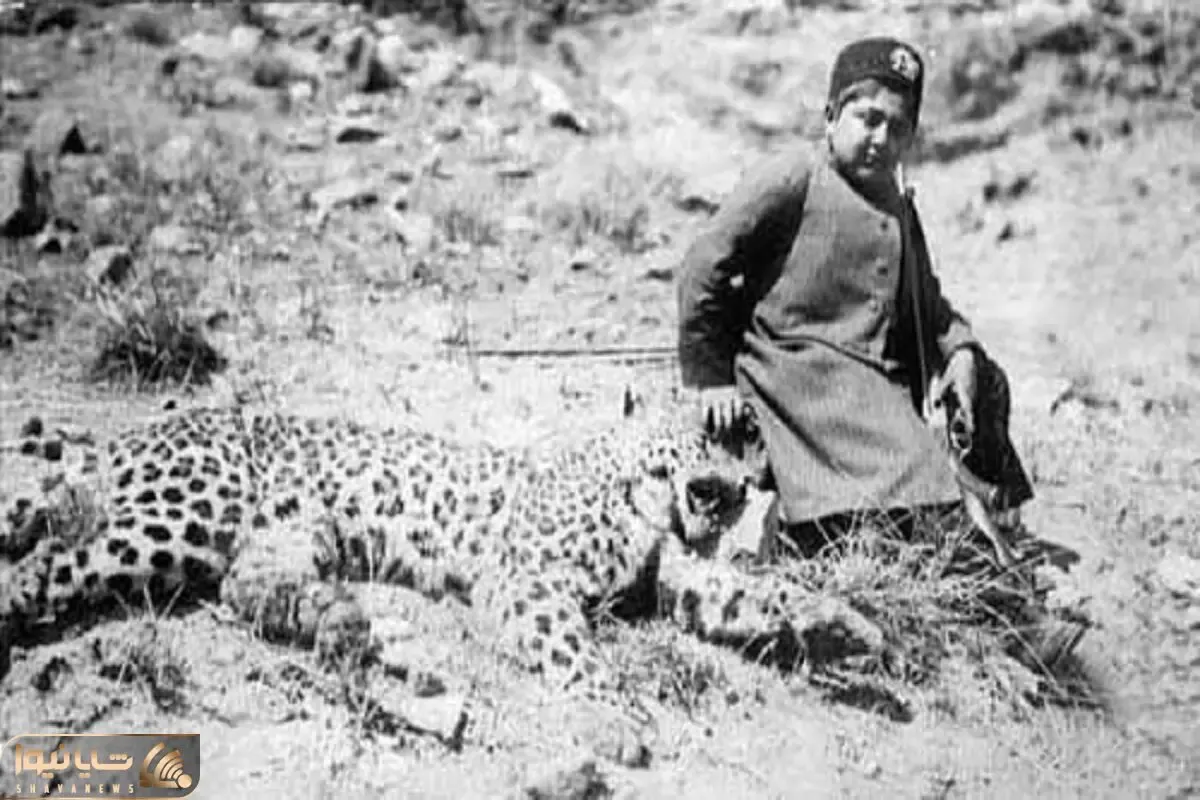 یک عکس یک روایت؛ نگاره احمد شاه قاجار با لاشه پلنگ ایرانی پس از شکار با ژستی شاهانه