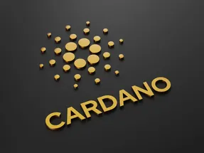 کاردانوی کانگورو یعنی چه؟