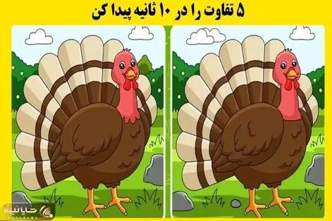 بازی فکری؛ شما فقط 10 ثانیه فرصت دارید تا 5 تفاوت میان دو تصویر را پیدا کنید؟