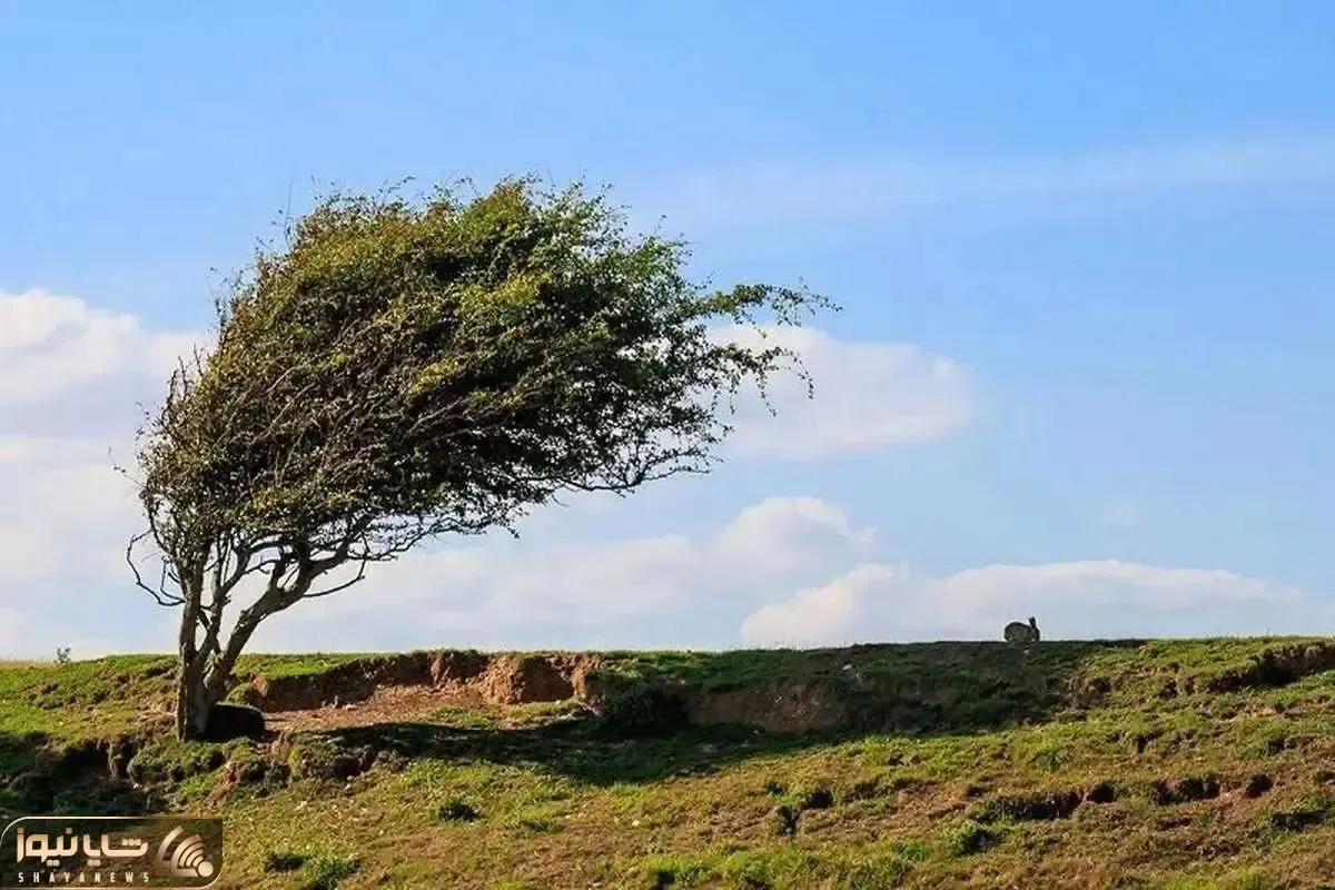وزش باد شدید و رگبار در انتظار برخی استان‌ها