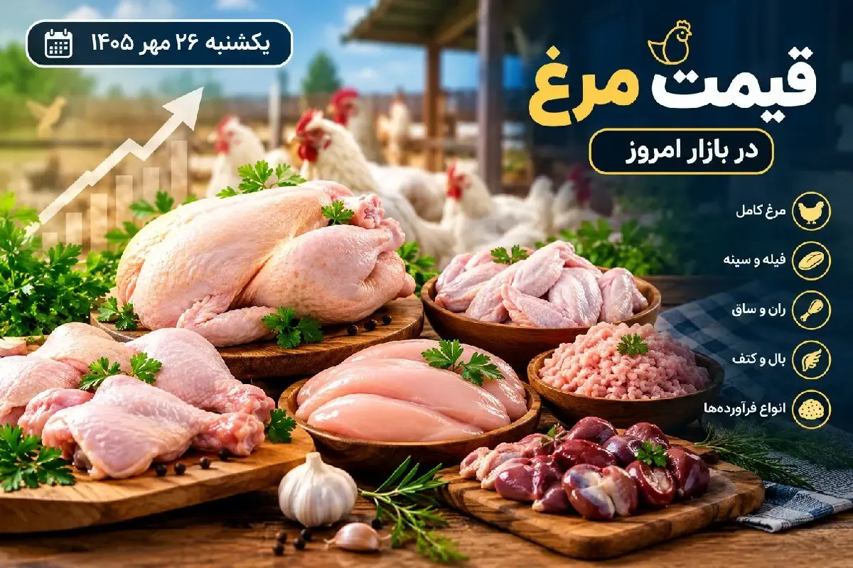 قیمت مرغ امروز یکشنبه 26 مهر 1405 / ثبات جای خود را به گرانی می دهد؟