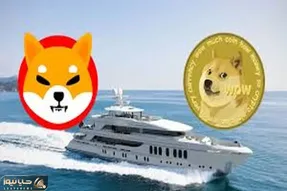 پیش بینی مهم از دوج کوین و شیبااینو؛خاموشی مطلق؟