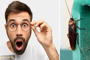 آگاه شو؛ تصورشم نمیتونی بکنی که اگه این موجود چندش نبود چی به سرمون میومد