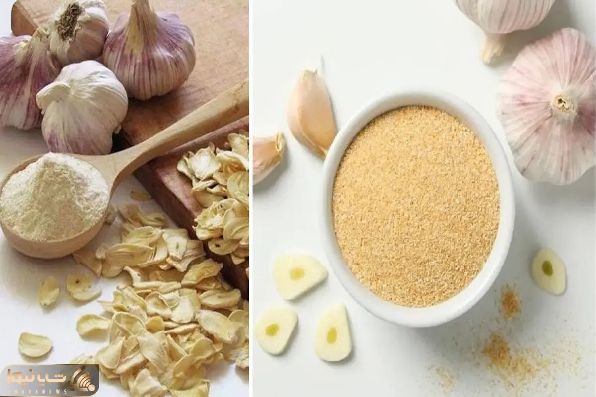 طرز تهیه پودر سیر به روش های مختلف / اینجوری یه پودر سیر خالص و خوش عطر داشته باش