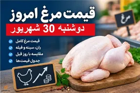 قیمت مرغ امروز دوشنبه 30 شهریور 1405 / مرغ تازه چقدر شد؟