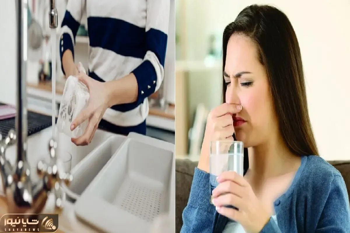 ترفندای معجزه آسا برای رفع بوی بد لیوان در کمتر از ۵ دقیقه/ کدبانو ها فقط بلدن