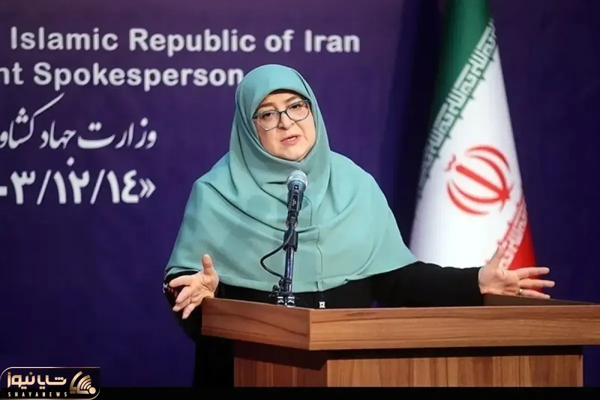 سخنگوی دولت: روابط ما با کشورها تابع منافع ملی است