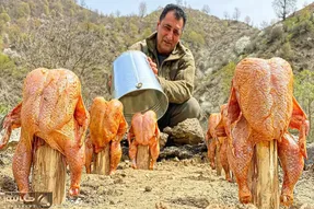 غذای باحال؛ مرغ رو بعد مزه دار کردن از باسن میزنه به کنده درخت گر بگیره بپزه