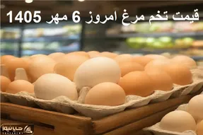 قیمت تخم مرغ امروز دوشنبه 6 مهر 1405 / شانه 30 عددی را چند بخریم؟