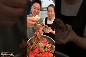 غذای چندش ؛ فکر کن یکی مغزتو گاز بزنه و با نمک بخوره جانور بدبخت اینجوری دادش درومد