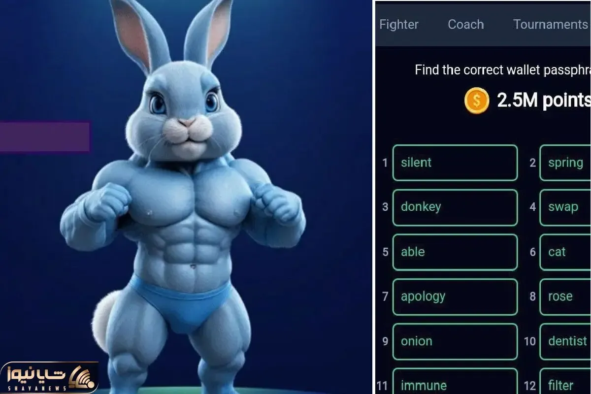 کد انیگما راکی رابیت (rocky rabbit) امروز 23 شهریور + آموزش وارد کردن