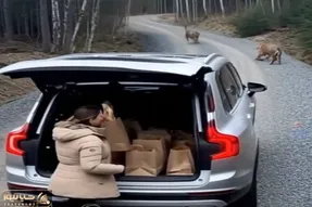 معماری طبیعت؛ خانومه دعای پدر و مادرش پشتش بود وگرنه...