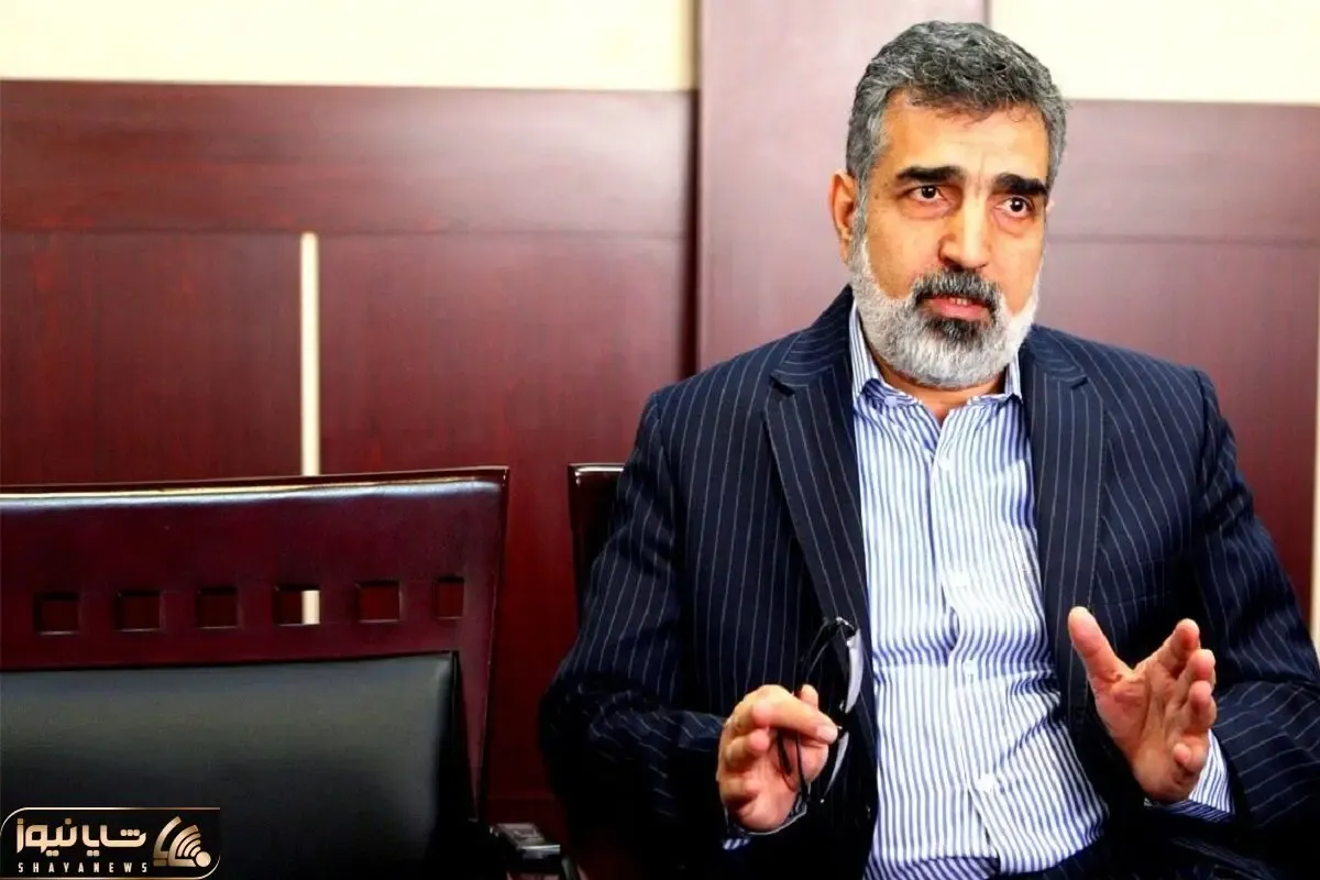 کمالوندی؛ صنعت هسته‌ای متوقف نخواهد شد