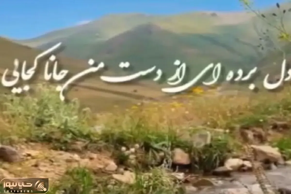 آواز اصیل؛ با این آهنگ سالار عقیلی قشنگ روحت میره وسط دشتای بهاری و پرواز میکنه