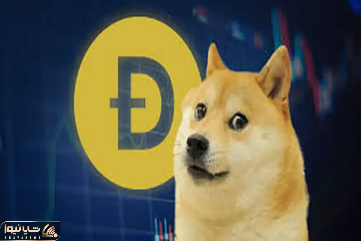 پیش بینی بسیار مهم برای قیمت دوج کوین!