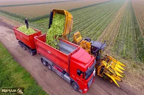 کشاورزی نوین؛ ماشین های مخصوص چیدن ذرت عین جاروبرقی ذرت قورت میدن پوستشم تف میکنن