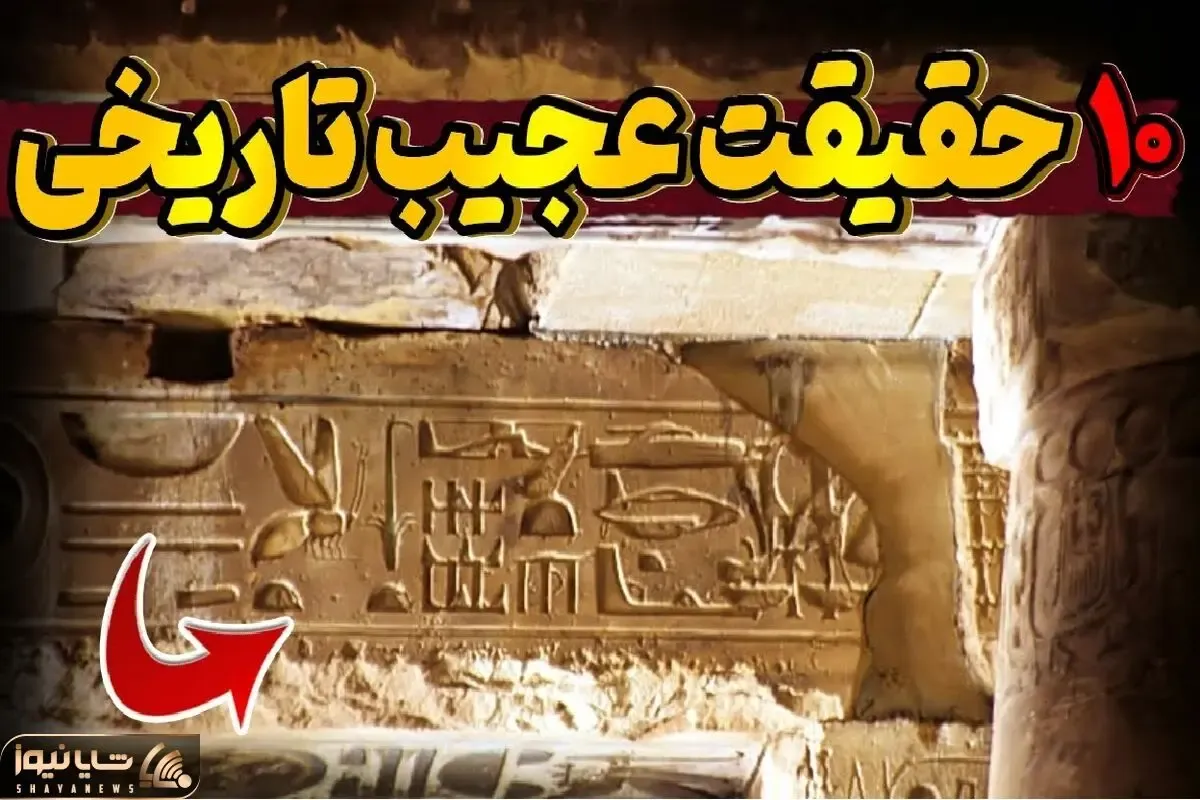 عجایب؛ از مورچه‌ای که زخم انسان رو بخیه میزنه تا خرس ایرانی که شد سرباز ارتش لهستان