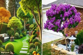 درختان سریع الرشد حیاط؛ زیباترین و زرنگ ترین درخت هایی که برای فضای باز و باغ عالین