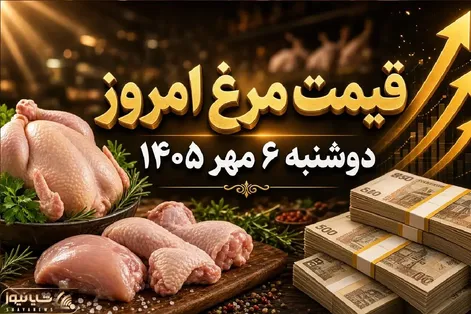 قیمت مرغ امروز دوشنبه 6 مهر 1405 / هر کیلو مرغ کامل چقدر شد؟
