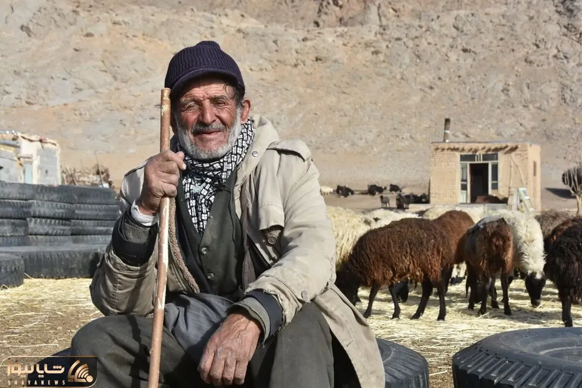 آواز احساسی؛ حسینعلی شبانپور پیرمرد 80 ساله که آنچنان با حس برای استاد شجریان میخونه
