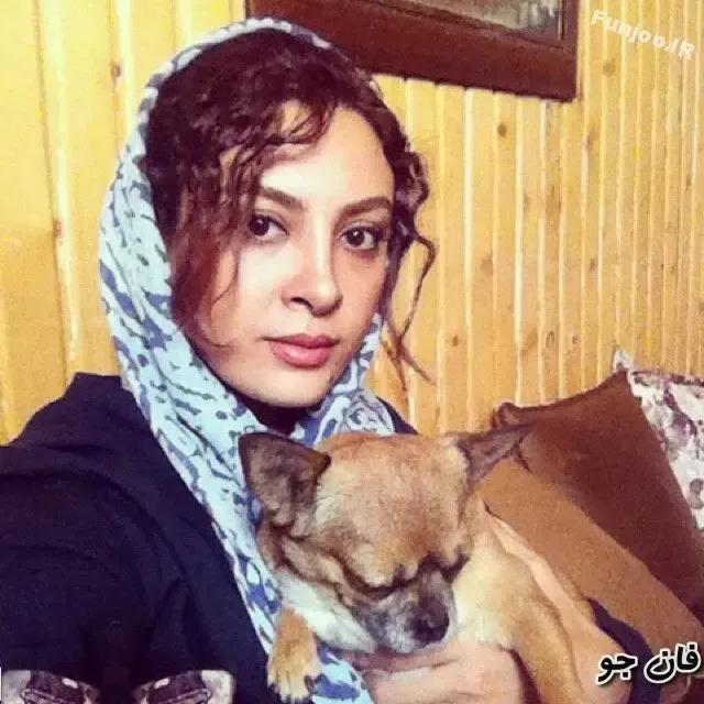 واکنش تند مجری شبکه پنج با پینگول؛ ماجرای سگ حدیث تهرانی!