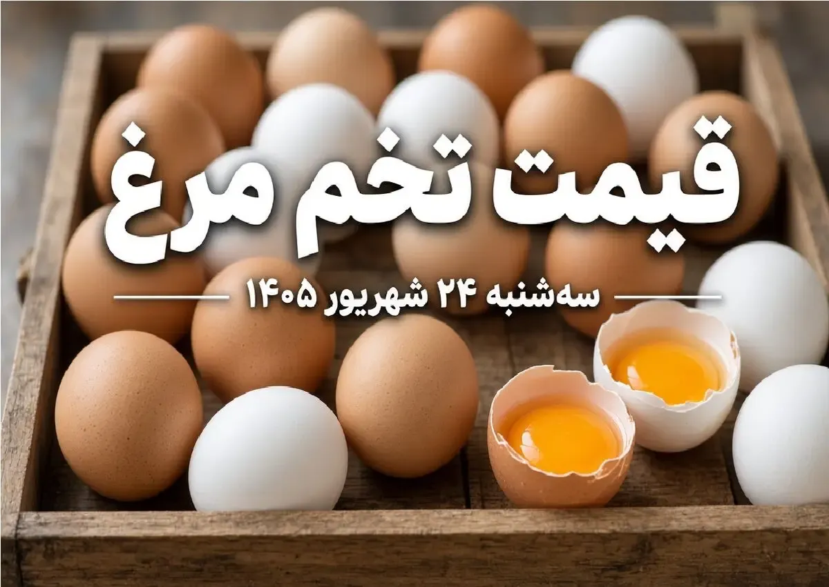 قیمت تخم مرغ امروز سه شنبه 24 شهریور 1405 / یک شانه 30 عددی چند؟