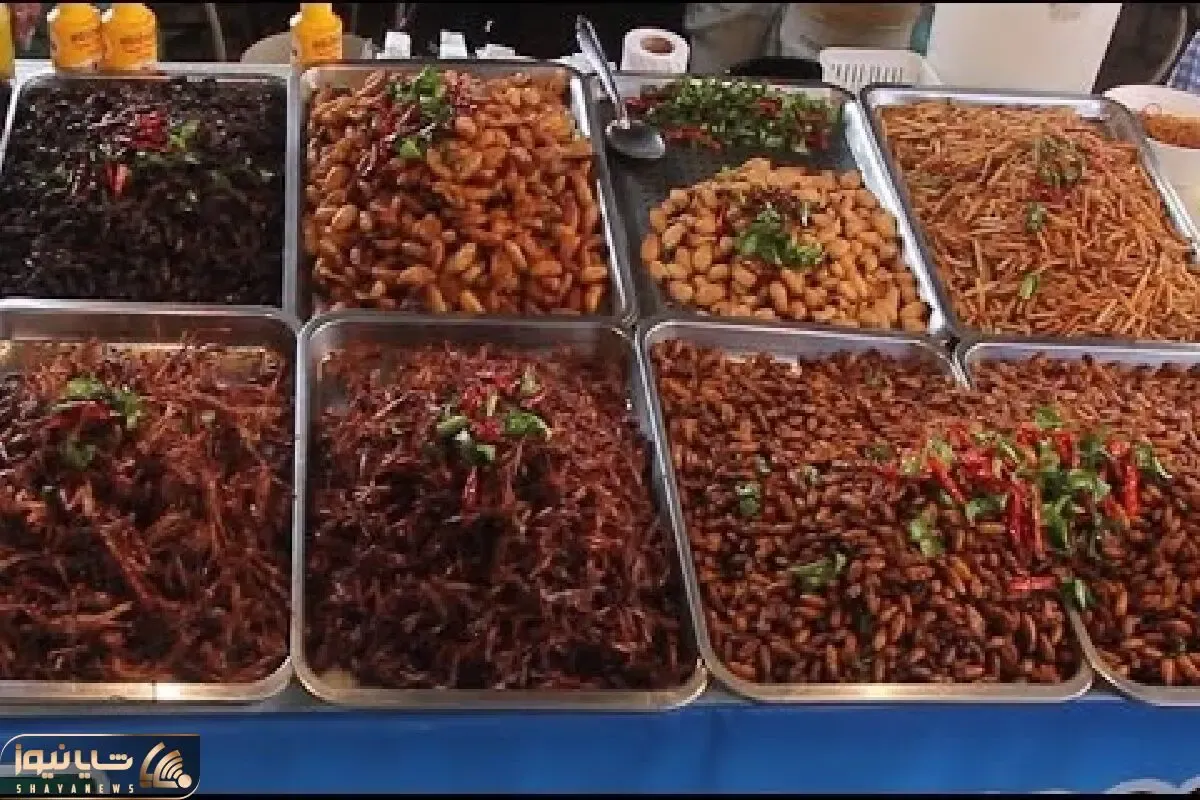 غذاهای خیابانی؛ آقاهه رفته تایلند هرچی جک و جونور رو داره میخوره دل و روده بهم ریخت