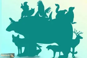 بازی فکری؛ با شمردن تمام حیوانات درهم برهم مهارت‌ بصری خود را به سرعت برق ثابت کنید