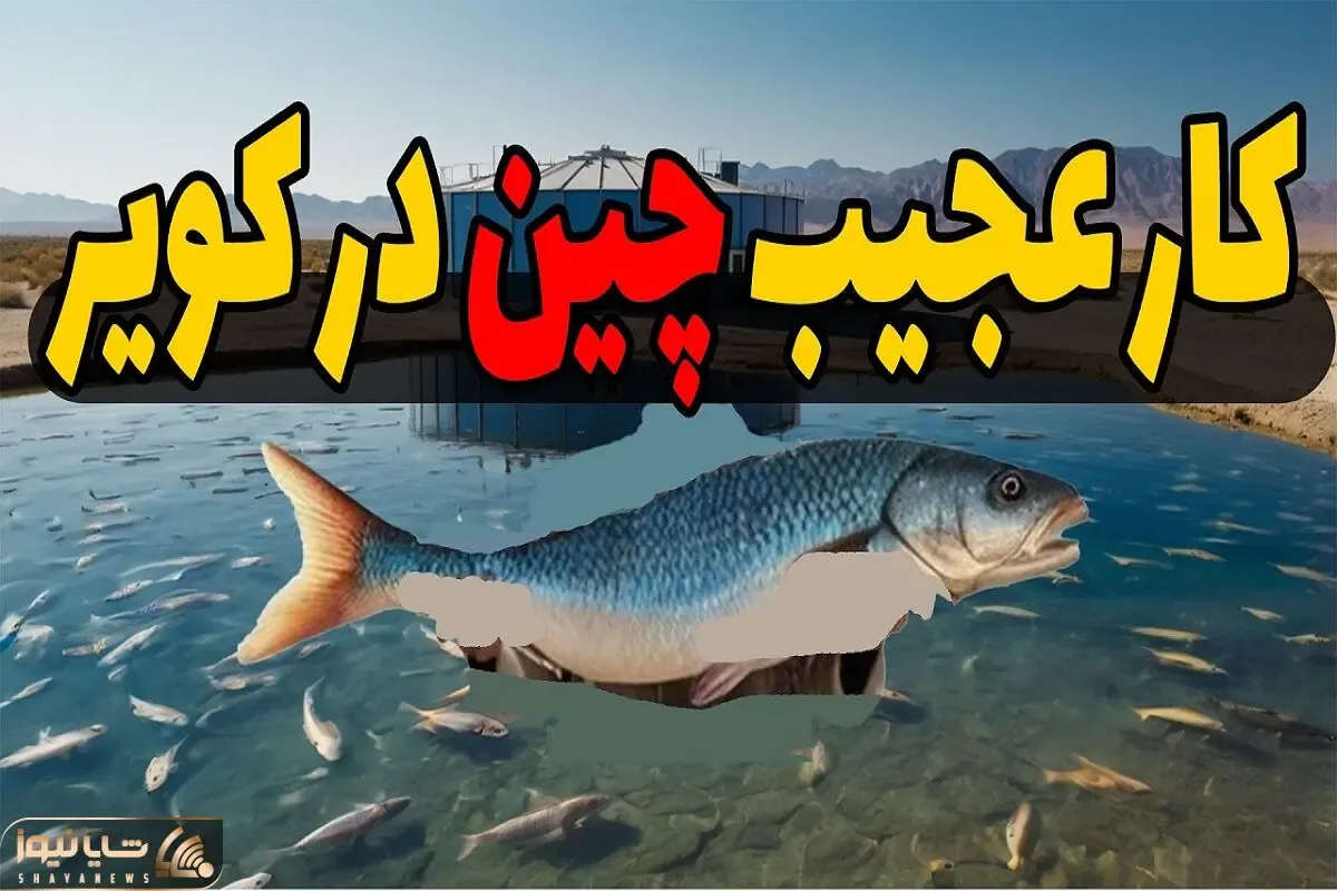ساخت چین / ماهی‌پروری ۵۳۰ میلیون دلاری در کویر! وقتی چین از بیابان طلا ساخت