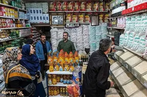 کالابرگ اردیبهشت از این تاریخ ها قابل برداشت است
