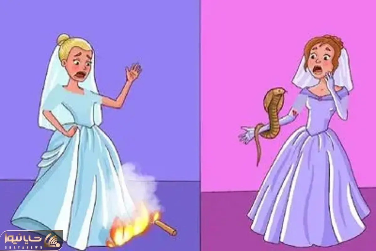 بازی فکری؛ اگه افت پرستیژ مرستیژ داره بگو کدوم از عروسا جون سالم به در میبره