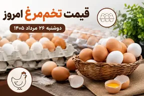 قیمت تخم مرغ امروز دوشنبه 26 مرداد 1405 + جدول