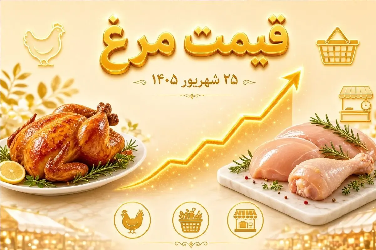 قیمت مرغ امروز چهارشنبه 25 شهریور 1405 / هر کیلو مرغ چقدر شد؟