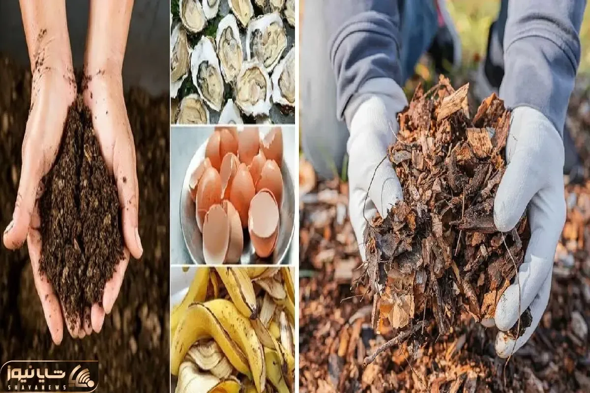ساخت کود کمپوست با برگ های پاییزی؛ فرمول کودای زباله ای که هزینه شون صفره تاثیرشون صد