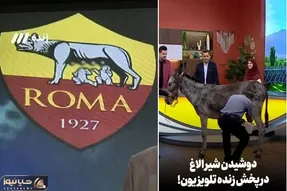 صداوسیما که پستان گاو در لوگو رم را سانسور کرد حالا در آنتن زنده از الاغ شیر می دوشد