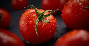 هفت دلیلی که خوردن گوجه فرنگی مهم است؛ راهی برای زندگی سالم