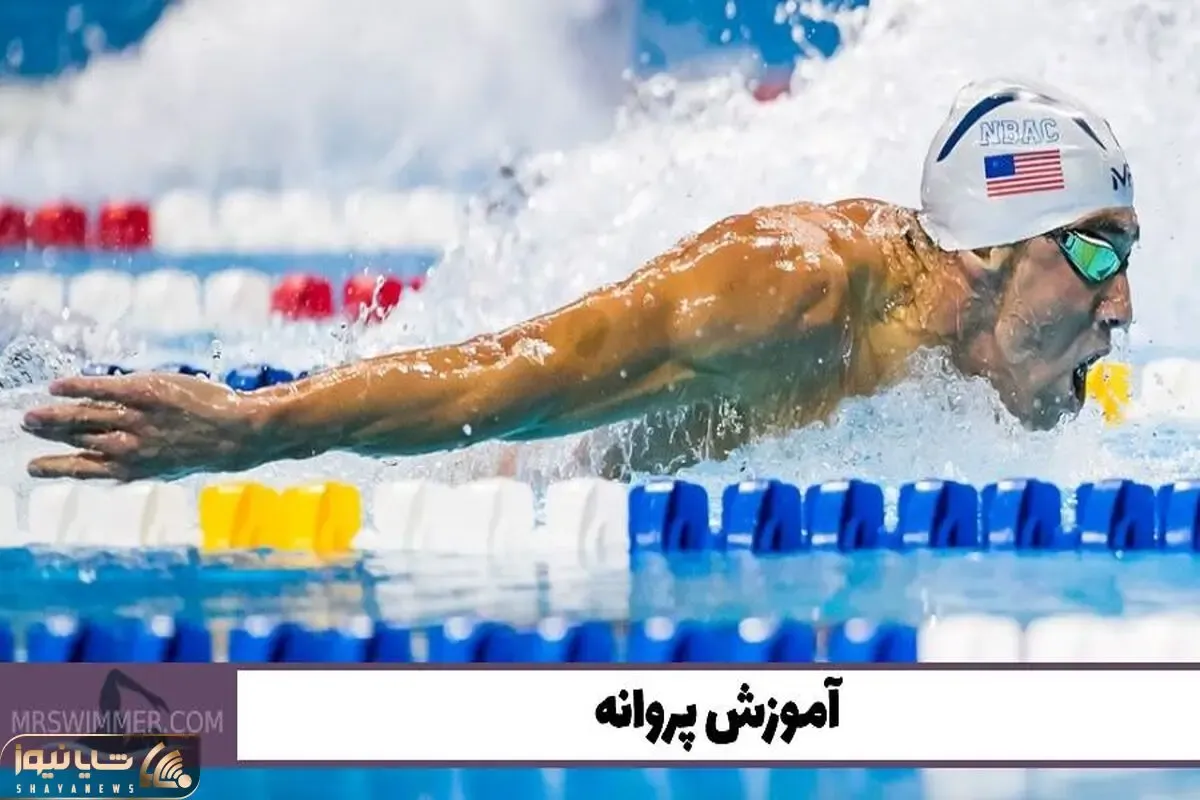 آموزش شنا پروانه؛ لذت پرواز در آب برای همه!