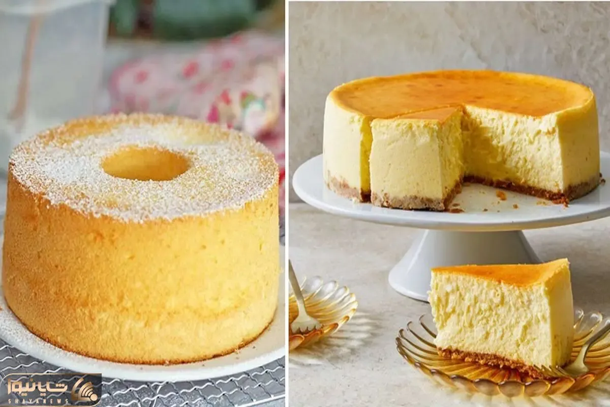 طرز تهیه کیک پنیری با فر و بدون فر / پف زیاد و مزه بی نظیر از کیک خونگی