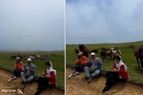 مطربی عالی؛ جلوی اسب های وحشی شروع کردن ساز زدن همه شون اندک اندک جمع شدن