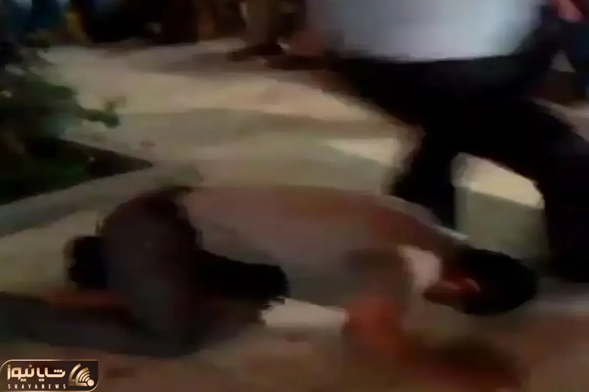 آواز شاد؛ مرد جوگیر تو مجلس رقص چهار دست و پا رفت یکی هول شد کله ملق زد رو سرش میپاچی