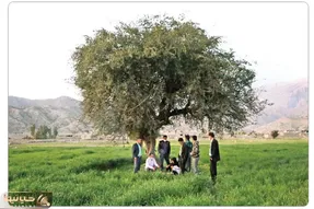 وضعیت روستای مال‌ملا دو سال پس از سقوط بورس
