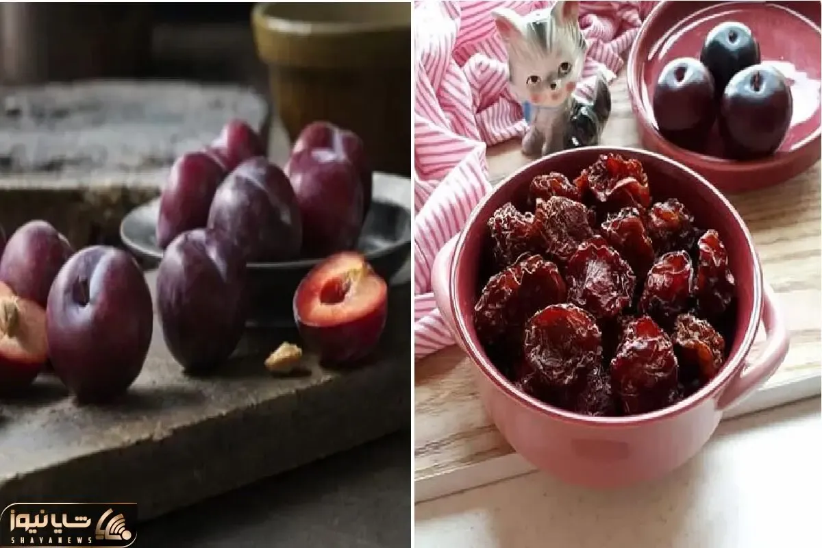 چگونه آلو سیاه را در خانه خشک کنیم؟/ راهنمای گام به گام و آسان برای مبتدی ها
