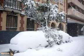 بارش ۶۰ سانتیمتری برف در تهران صحت دارد؟