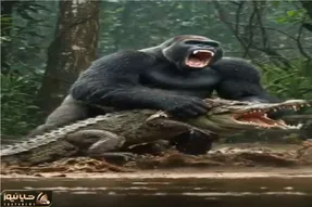 مستند حیات وحش / گوریل چقر بد بدن دوخم تمساح مفلوک گرفت وسط مرداب کوبید زمین