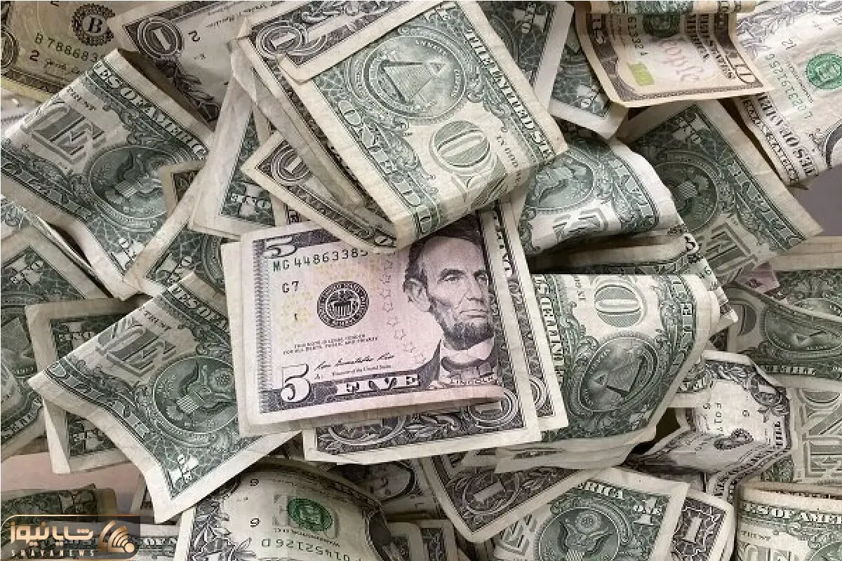 قیمت دلار امروز شنبه 25 بهمن 1404؛ دلار در نقطه انفجار