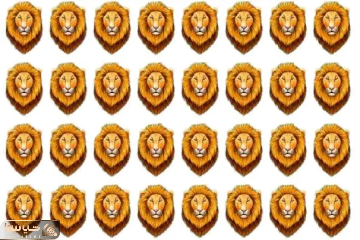 بازی فکری؛ شیر متفاوت را پیدا کن